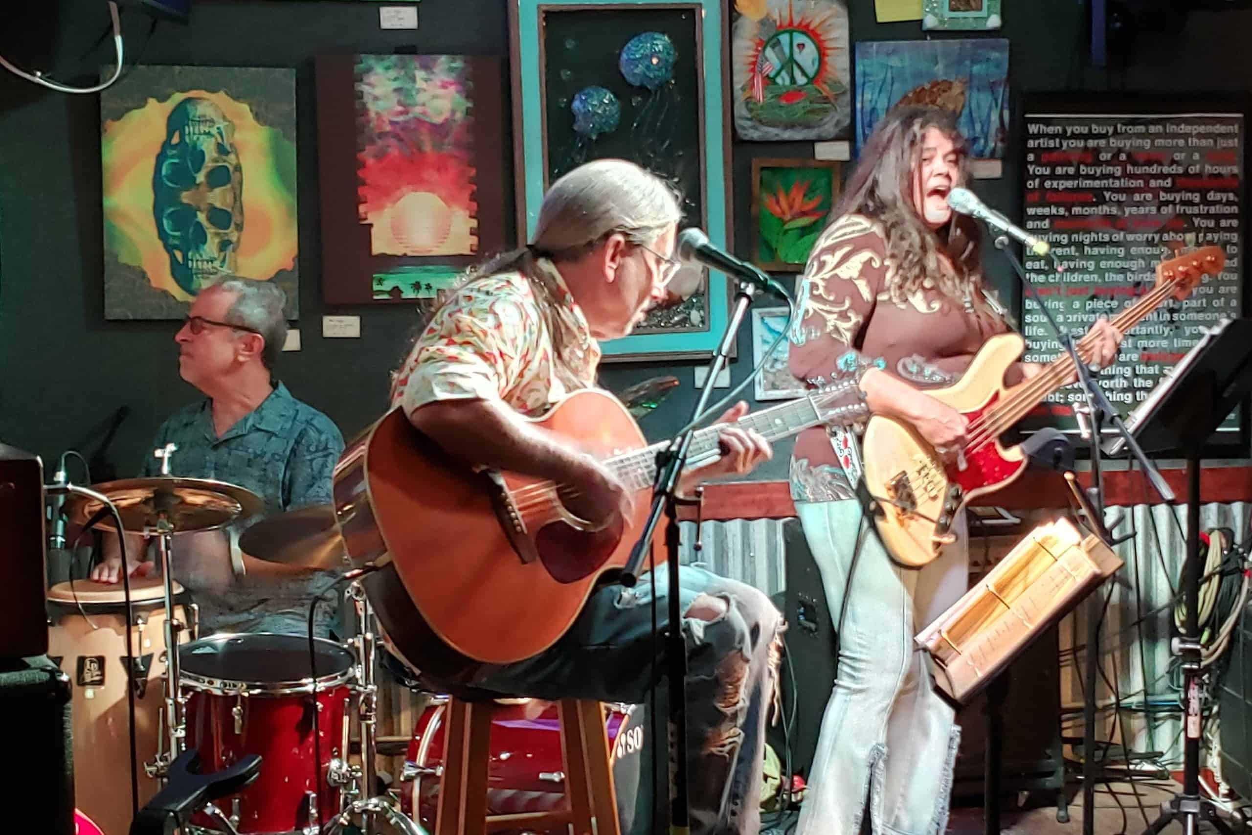 Old Friends Band at The Brewhouse Gallery