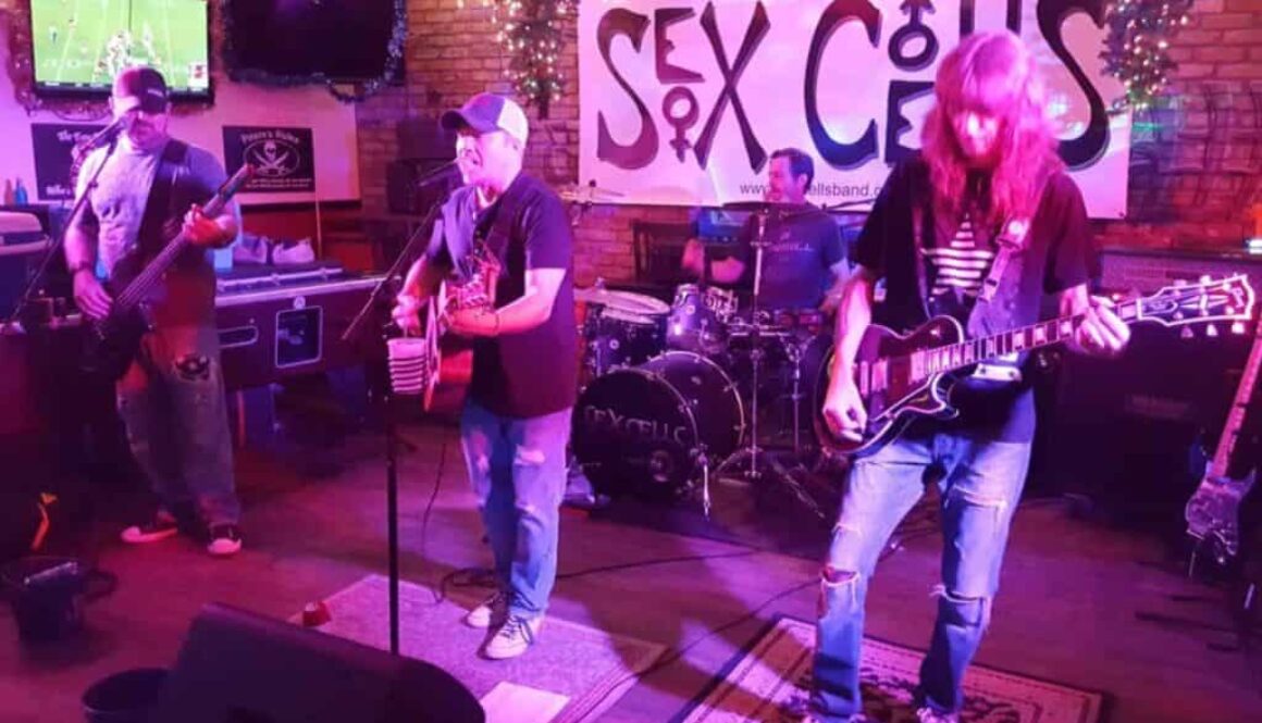 Sex-Cells-2017-Medium-scaled